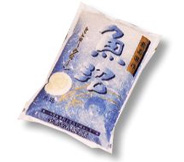 �ӂ邳�ƒ����ցi�V���^�A���̕��j